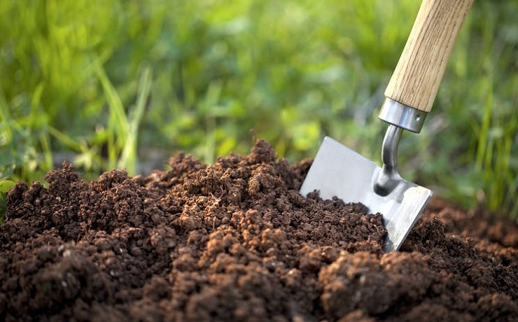 How-to-Care-for-the-Soil