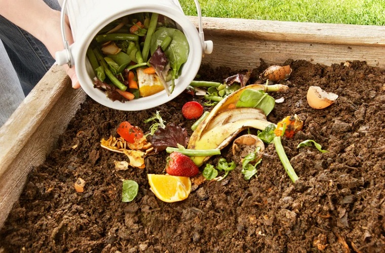 Put-your-kitchen-waste-in-the-garden