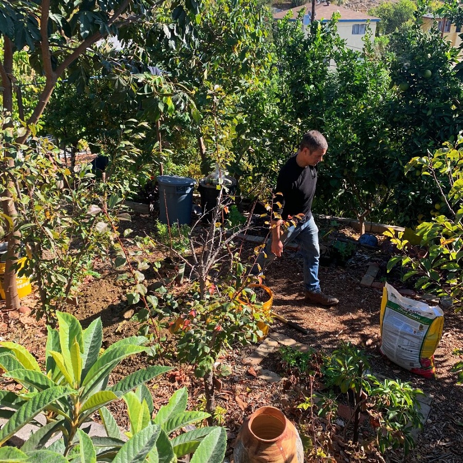 food-forest-gardening