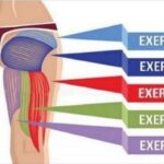 5-Effective-Exercises-to-Build-Glute-Improve-Posture-and-Burn-Fat