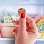 Why-does-everyone-put-pennies-in-the-freezer