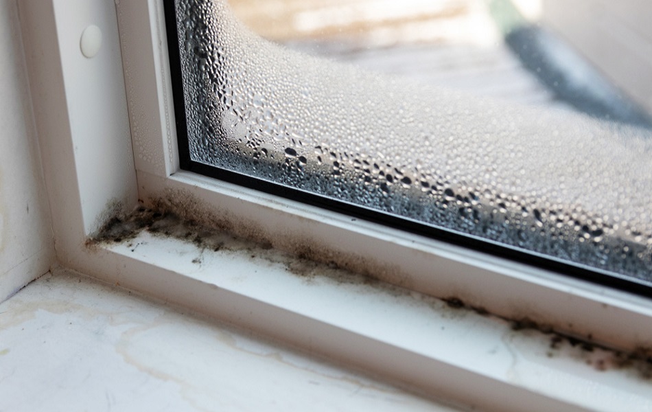 open-window-reduce-condensation-and-mold