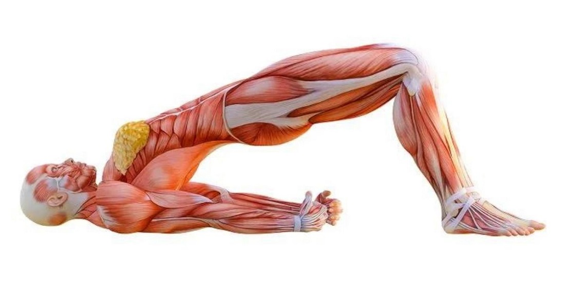 stretching-exercises