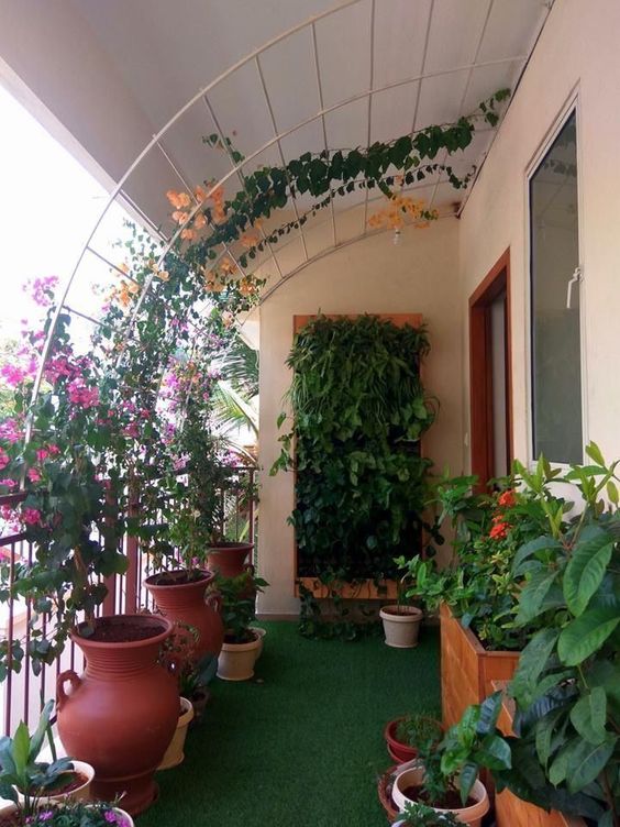 Plant Shade balcony