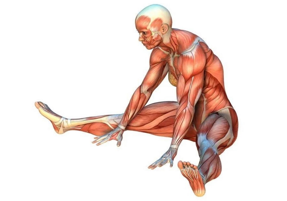 Seated-Straddle-Stretch