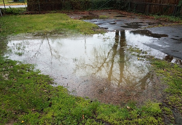 Standing-Water-in-the-Yard