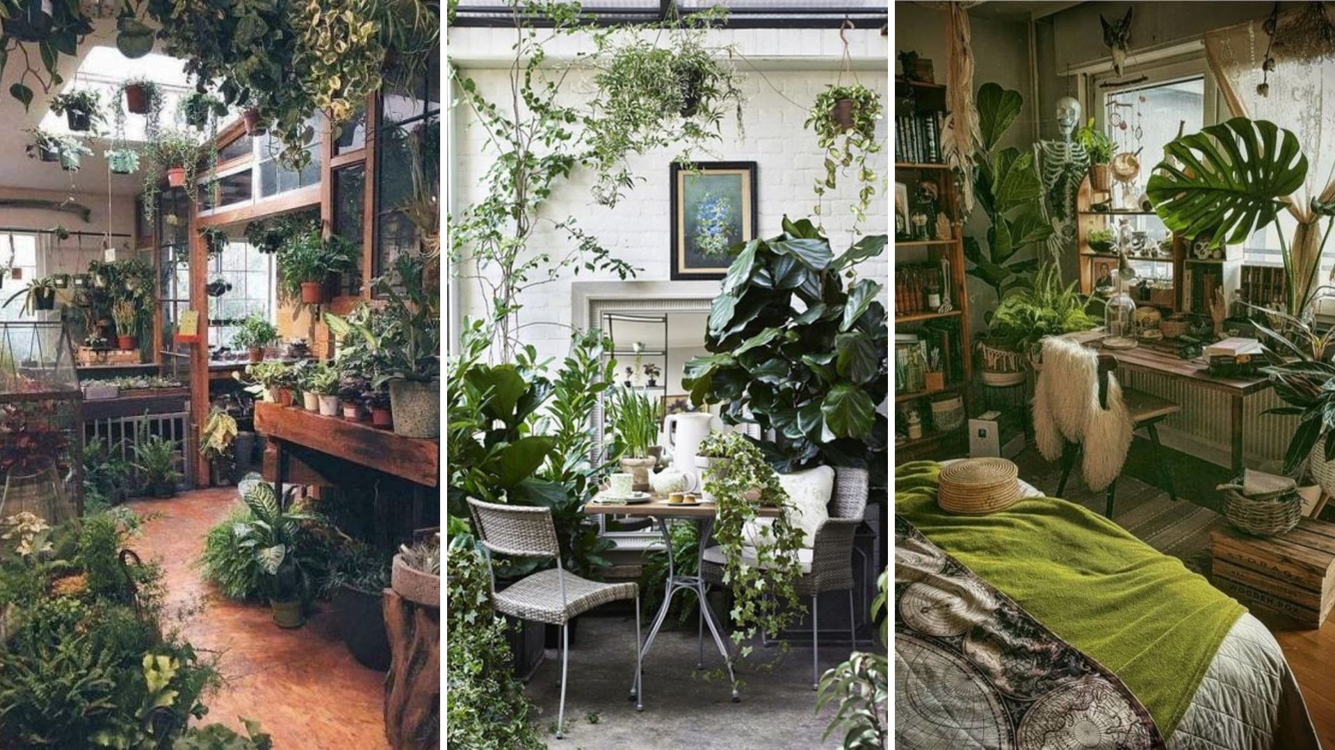 14 Ideas for Creating an Indoor Garden Oasis in Your Home