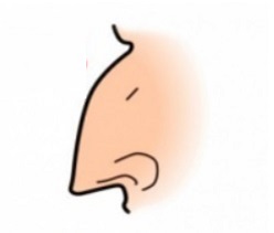 Aquiline-nose