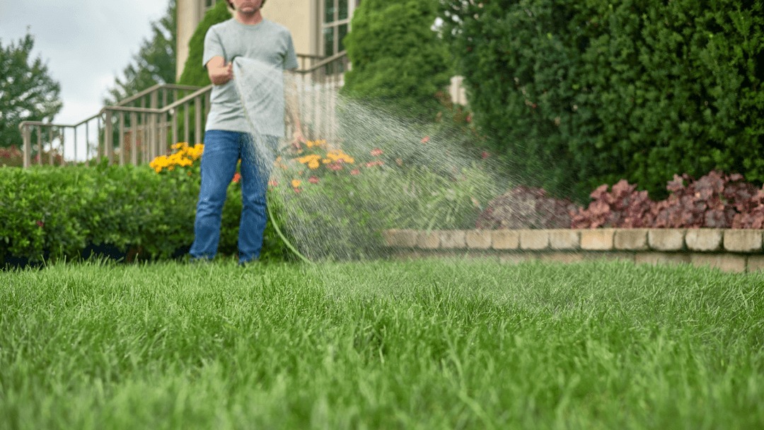 Secrets-of-a-Lush-Lawn-Expert-Tips-for-a-Greener-Healthier-Yard