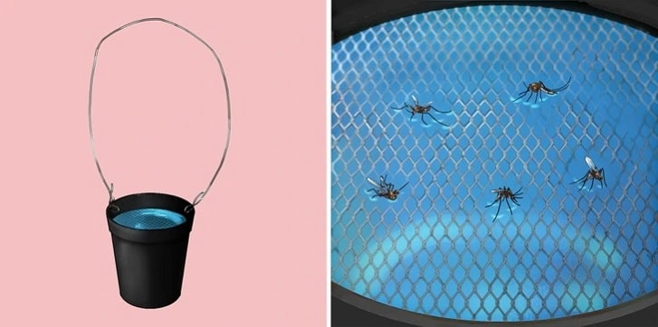 Create-a-Mosquito-Trap-with-a-Bucket-Sock-and-Mesh-Screen