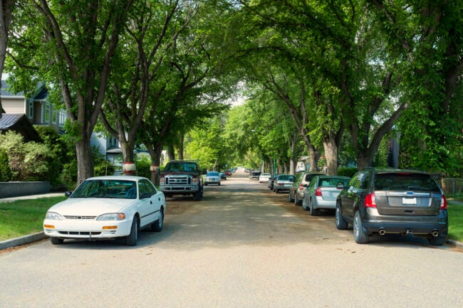 Park-in-the-shade