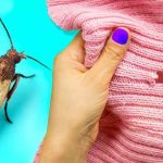 Unveiling-the-Ultimate-Secret-to-Banish-Moths-Forever-You-Wont-Believe-How-Easy-It-Is