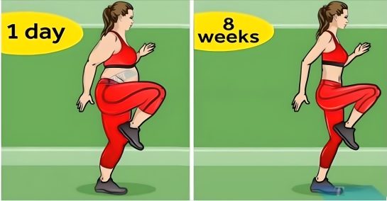 8-WEEK WORKOUT PLAN TO REDUCE BODY FAT