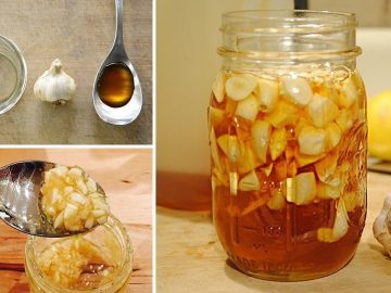 Benefits of 7 Days of Honey and Garlic on an Empty Stomach