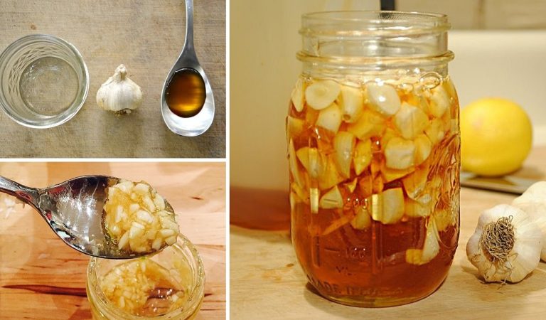 Benefits of 7 Days of Honey and Garlic on an Empty Stomach